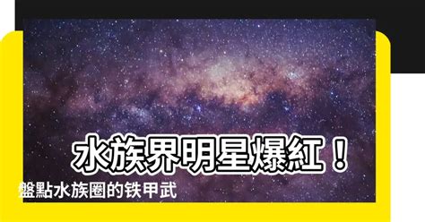 鐵甲武士 魚|【鐵甲武士魚】 水族界明星爆紅！盤點水族圈的鐵甲。